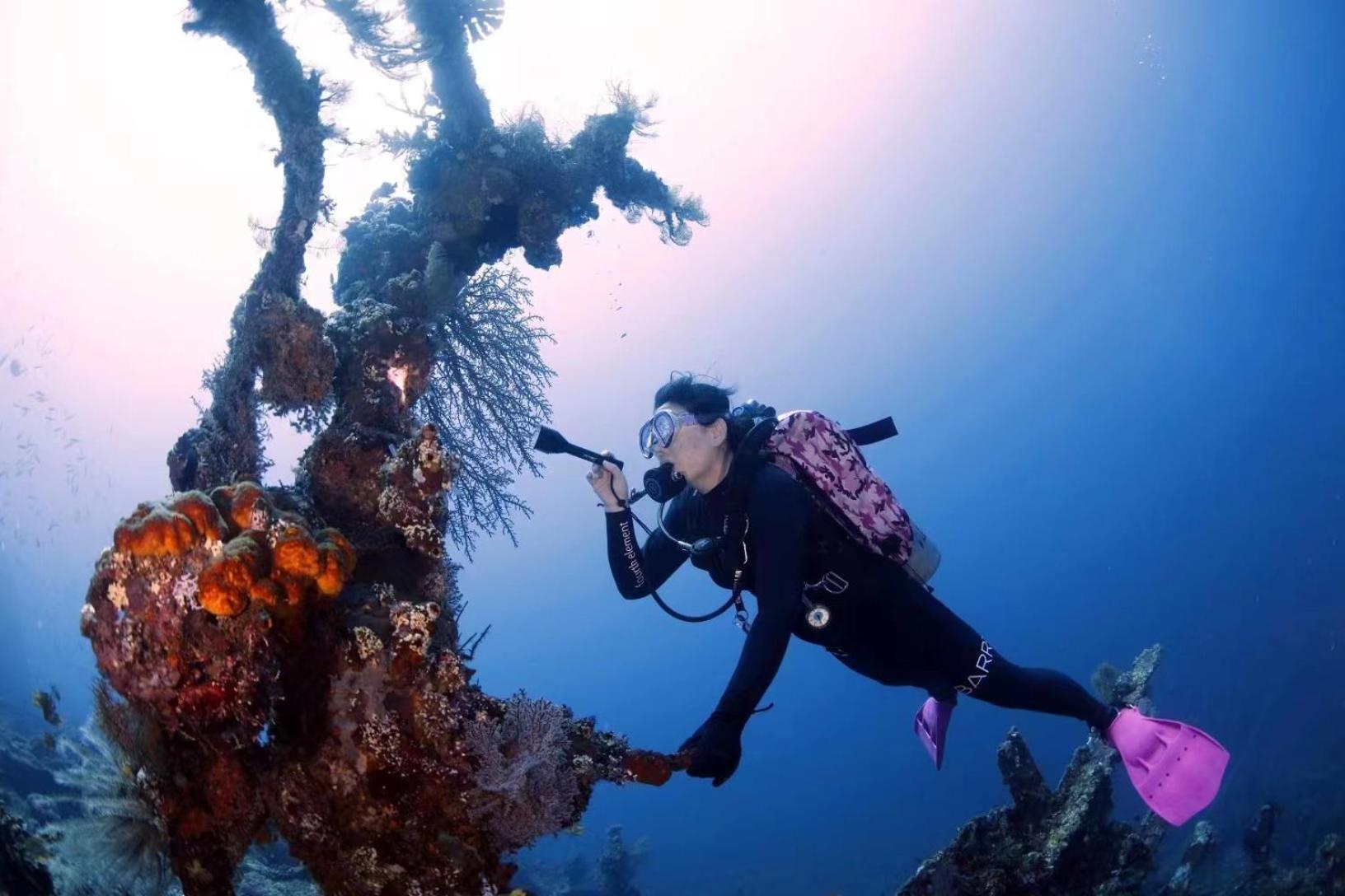Villa Alba Bali Dive Resort Tulamben Esterno foto